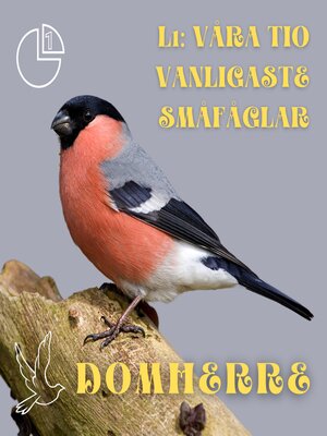 cover image of Domherre